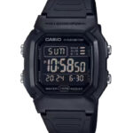 W-800H-1BVDF
