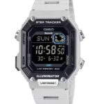 WS-B1000-8BVDF